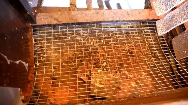 как построить супер курятник компактно, бюджетно и оригинально. смотреть онлайн