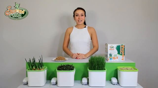 АэроСАД Здоровья КЛАД. Домашняя гидропоника — это просто! смотреть онлайн