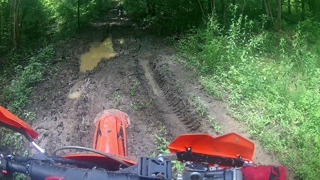 Мотовыезд 13.06.23 (гряземес)