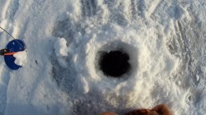 Открытие сезона на озере Глухое. Зимняя рыбалка в Новосибирске. Рыбалка на окуня.