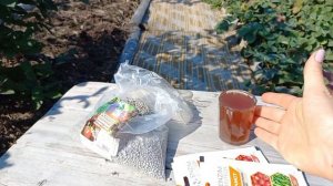 ПОДГОТОВКА ГОЛУБИКИ К ЗИМЕ!Подкормка,обработка,мульчирование.#blueberry#голубика#подкормкаголубики