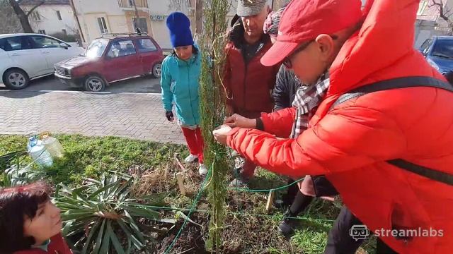 ГЕЛЕНДЖИК! САЖАЕМ КИПАРИСЫ! ПОГОДА 30.01.2021 смотреть онлайн