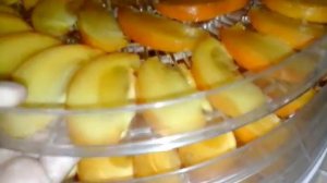 хурма сушенная(вкусно)