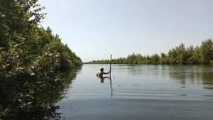 Рыбалка на змееголова 2022г