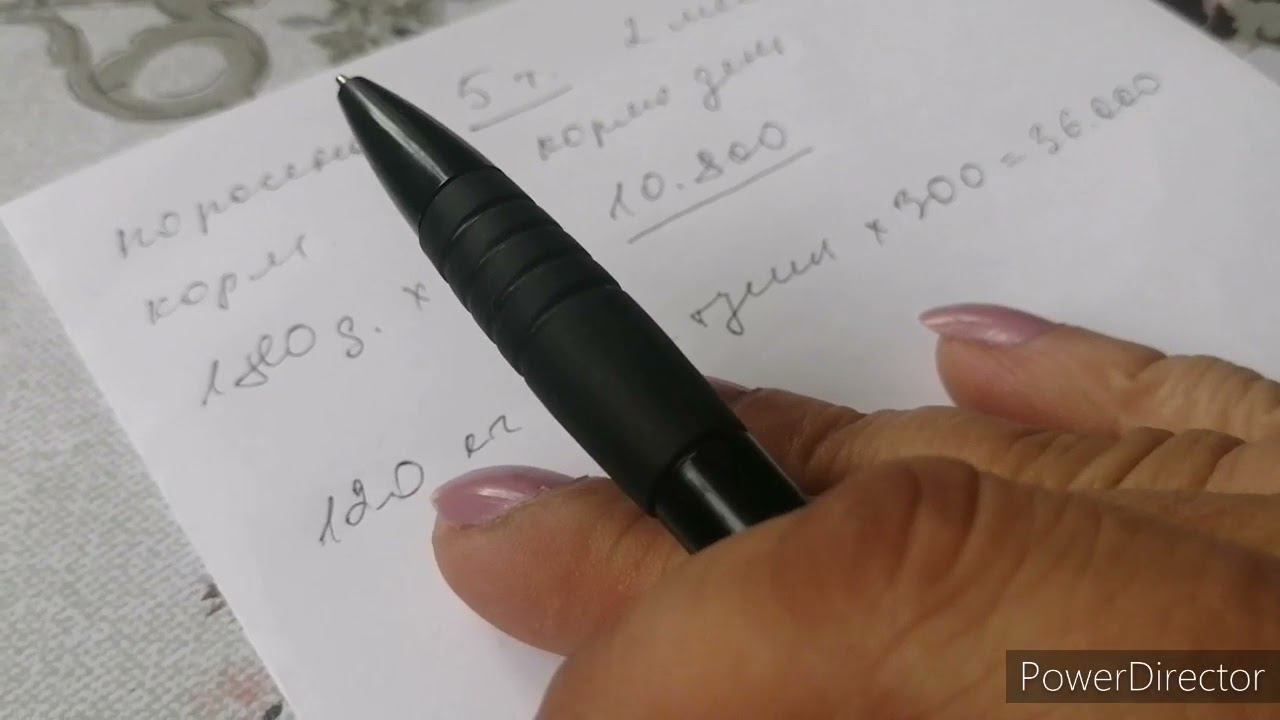 Бизнес на свиньях. Вся ПРАВДА!!!! смотреть онлайн