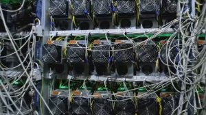 Самая большая майнинг ферма в России! Сколько приносит