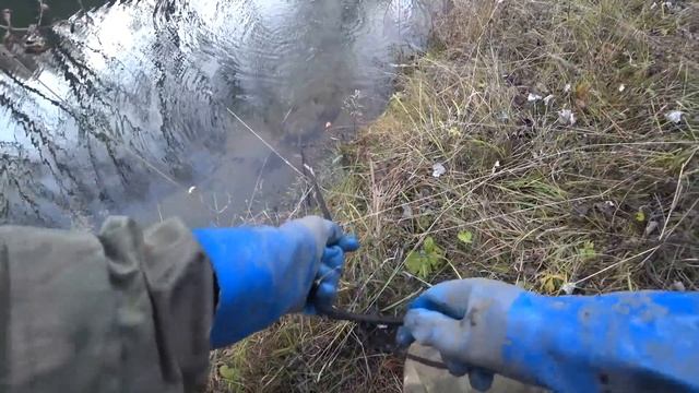 ОБНАРУЖИЛ ЯЩИК- А В НЁМ...! ДЕРЕВЕНСКИЕ НЕ ПОДОЗРЕВАЛИ ЧТО ТАКОЕ ЛЕЖИТ РЯДОМ! смотреть онлайн