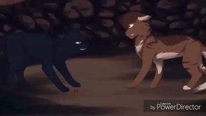 Коты-воители песня "Не хочу я жить, не хочу решать!"