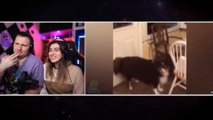 Люди, мертвые внутри #2 | РЕАКЦИЯ на Студия озвучки "ShtigliShti"