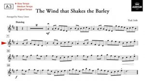 [반주] ABRSM Violin Grade1 (A3) Trad.Irish-The Wind that Shakes the Barley