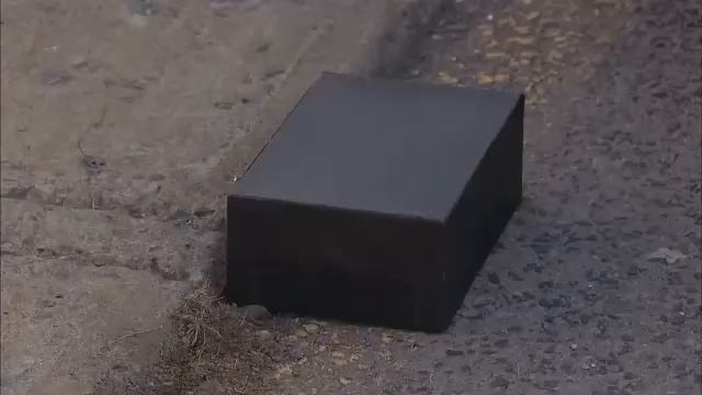 Шалуньи