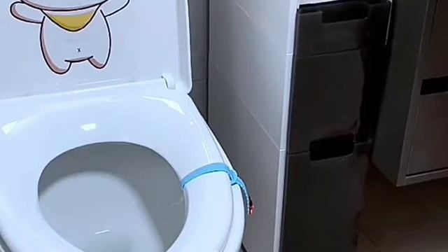 Лайфхаки для прихожей и дома купила и не жалею.mp4