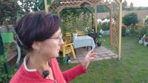 Видео привет с 6 соток 21 августа 2024 года