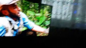 Укус ядовитой осой палач жгучая боль