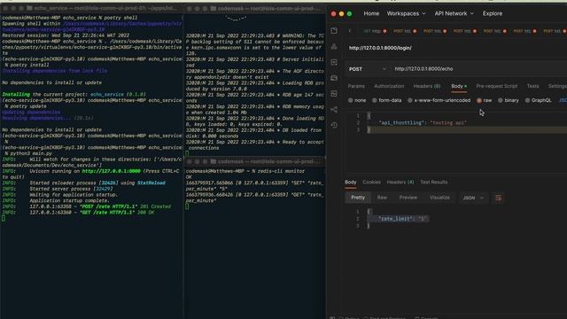 HTTP-based throttling service using FastAPI and Redis смотреть онлайн
