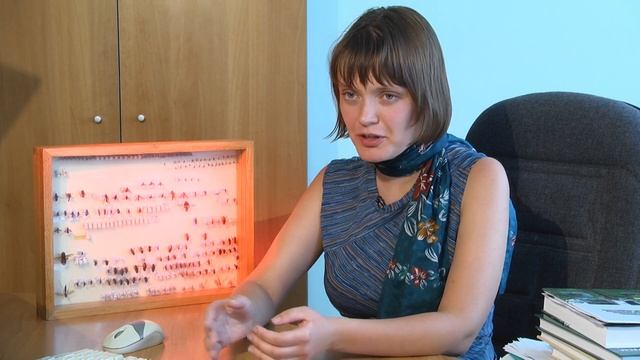 Средиземноморская плодовая муха