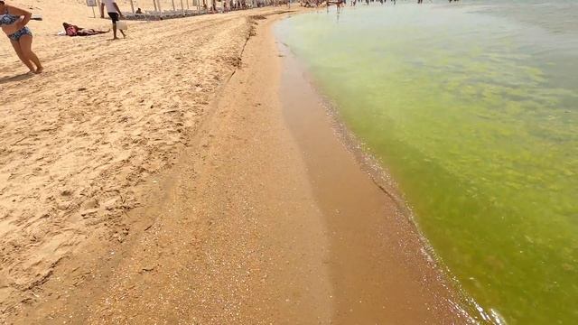 Влог! Хорошо погуляли / Пионерский проспект / Море цветет / Джемете / Анапа