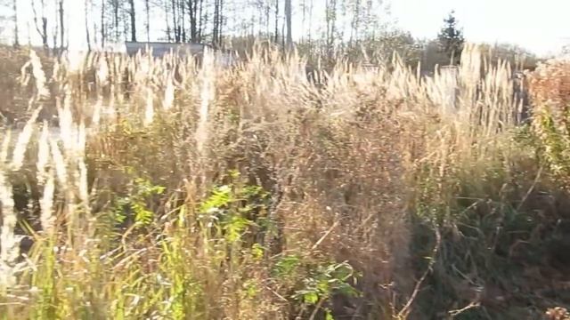 Продам участок 9соток с.Давыдовка Житом.обл.3000$ смотреть онлайн