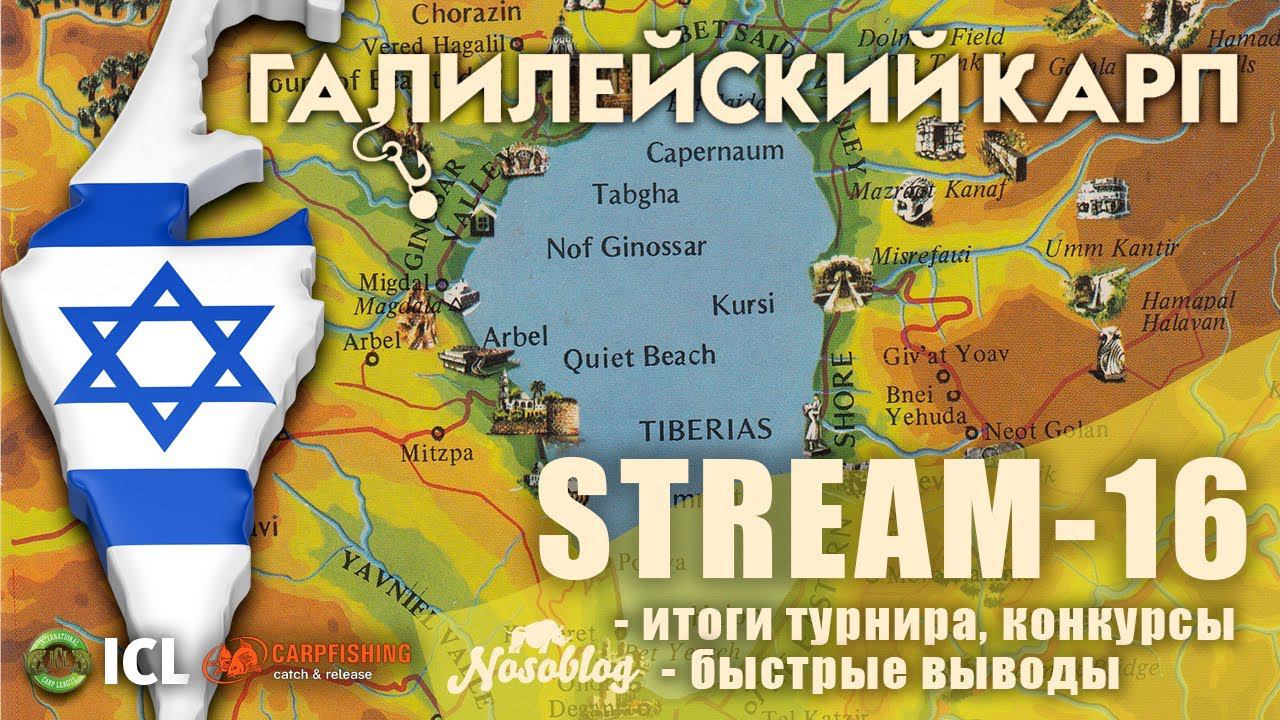 Галилейский карп 2020 (карпфишинг), выпуск 16, итоги и выводы, конкурс