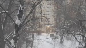 Метель1. От 18.01.2024. VID_20240118_164214