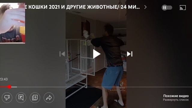 засмеялся выпил соус чили смотреть онлайн