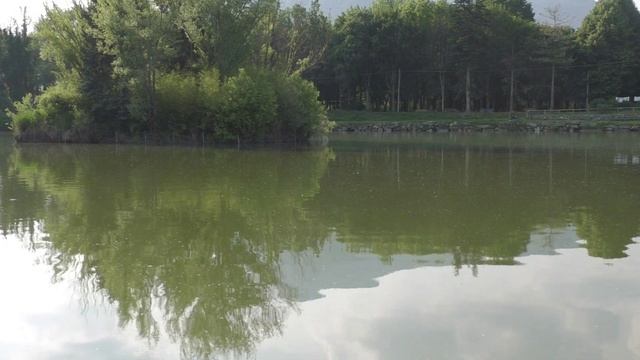 Карповая рыбалка - поплавок , дальняя дистанция , ловля в толще воды с фиксацией снасти на дне!