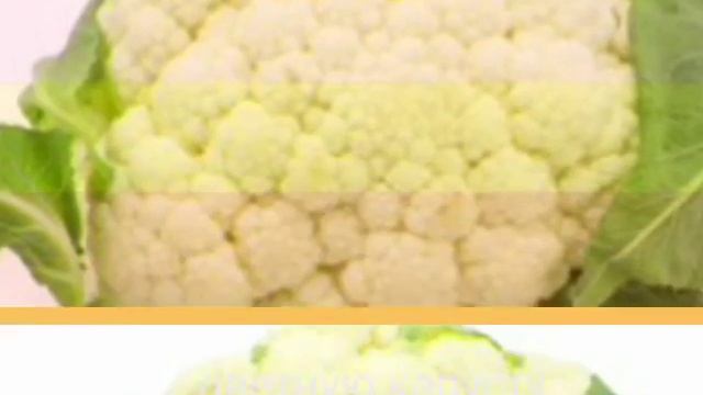 Какие овощи можно довать хомякам смотреть онлайн