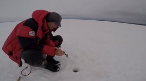 Игра безмотылкой: советы начинающим