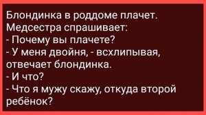 Женщина Задала Вопрос Незнакомцу в Подъезде! Сборник Свежих Смешных Жизненных Анекдотов!