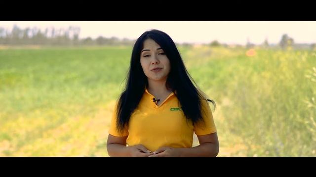 Как правильно сделать отбор почвы для агрохимического анализа из подручных средств? смотреть онлайн