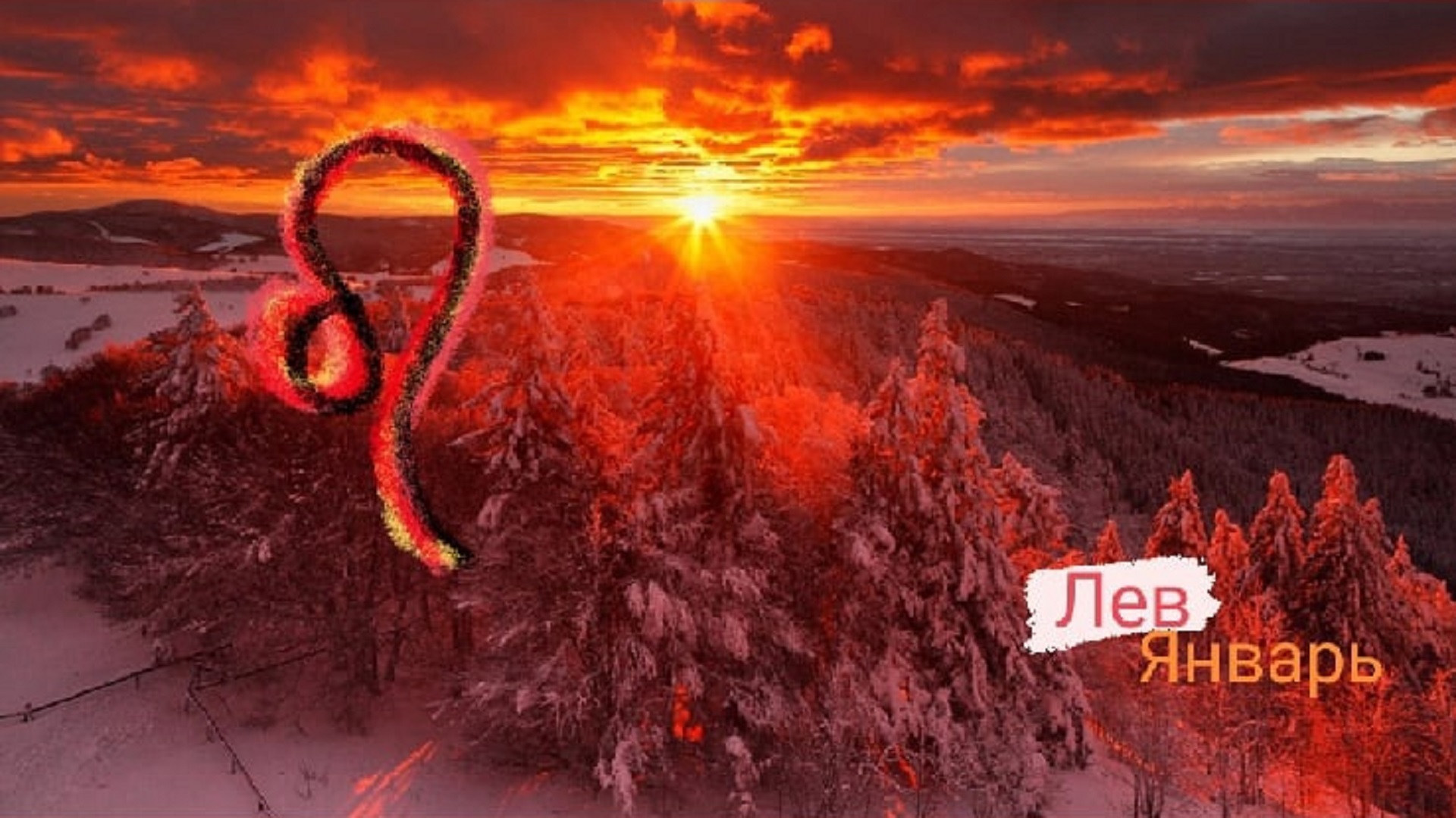 Король лев приколы. Лев январь 2024 любовь. Лев январь 2024 любовь. Таропргноз на июнь 201 для львов. Гороскоп "лев".