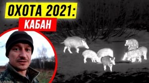 ? Осенняя охота на кабана 2021. ? Енотовидные собаки. Закрыл лицензию