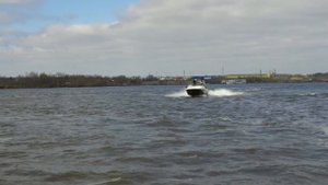 Катер Phoenix 560 (Феникс) с мотором Suzuki DF 175 TL