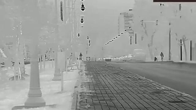 Testing Hikmicro Gryphon GQ35LRF смотреть онлайн