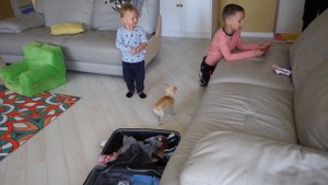 VLOG: Учимся засыпать без груди