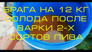 Брага на 12 кг солода после варки 2-х сортов пива на СПИРТОВЫХ ДРОЖЖАХ ALCOTEC WHISKY TURBO