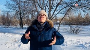Чистотел для кожи