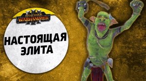 Настоящая Элита | Гномы Хаоса vs Нургл | Ленды | Total War: WARHAMMER 3