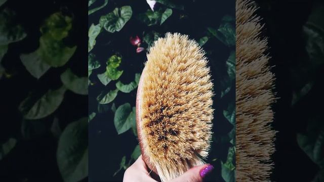 Щетка для сухого массажа Riche из кактуса и дуба