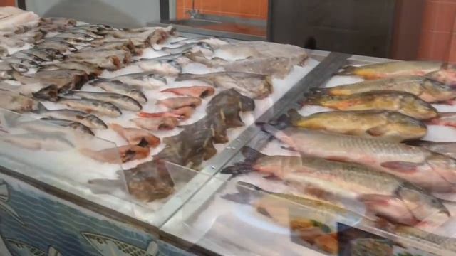 Обо всем по чуть-чуть и как лучше поступить - стерилизовать кошку или нет? смотреть онлайн