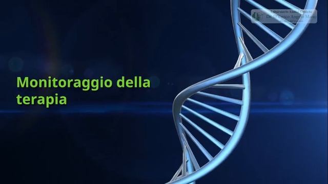 Marcatori tumorali ...facciamo chiarezza смотреть онлайн