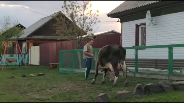 О хлебе насущном от 08.05.20 смотреть онлайн