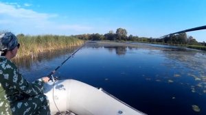 Ловля краснопёрки в Переволоках. Fishing in Perevoloki.