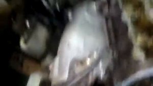 Замена цэпи ГРМ,на Ауди А7