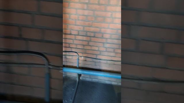 Котёл ИСКРА в работе 4 года. Топится семечкой смотреть онлайн