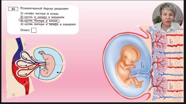 ОГЭ 2023 биология Разбор сборника Рохлова Вариант 13 смотреть онлайн