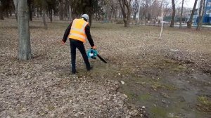 весеннея уборка листьев основной