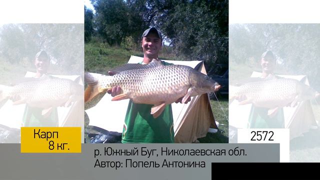 Фотоальбом - Рыбалка №514 смотреть онлайн