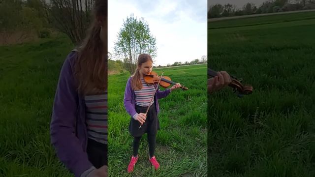 Polya плакала скрипка  COVER