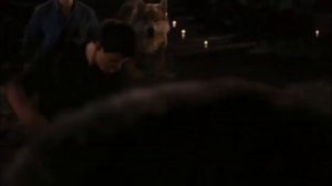 Чёрный волк. Одиночество